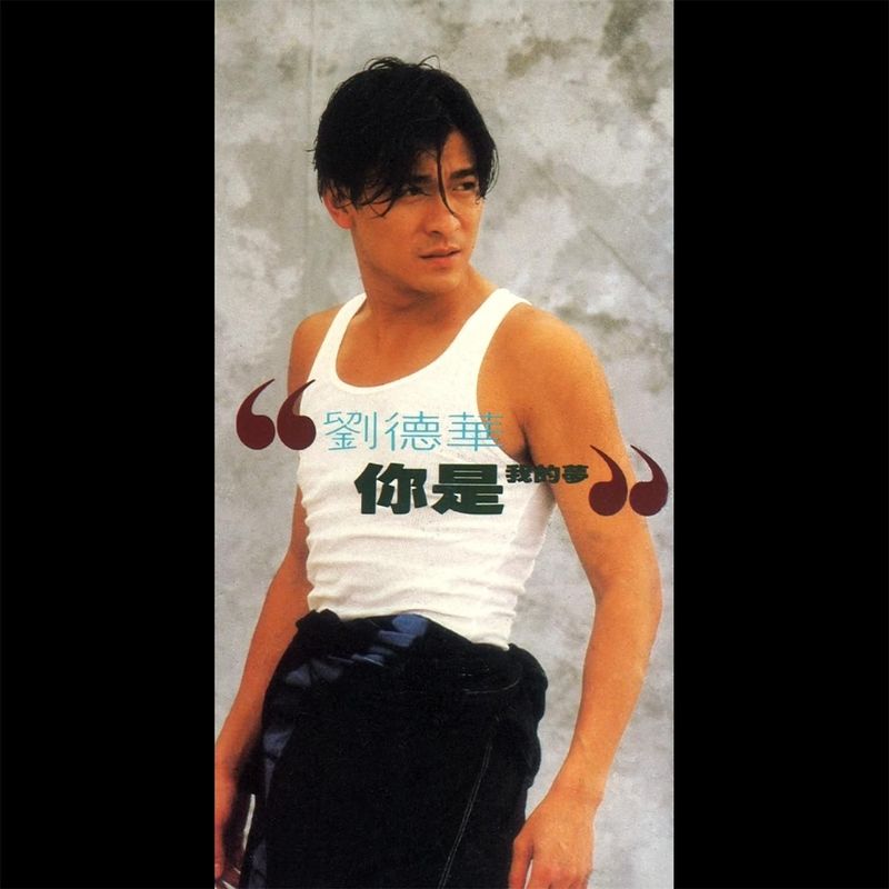 刘德华-《你是我的梦》