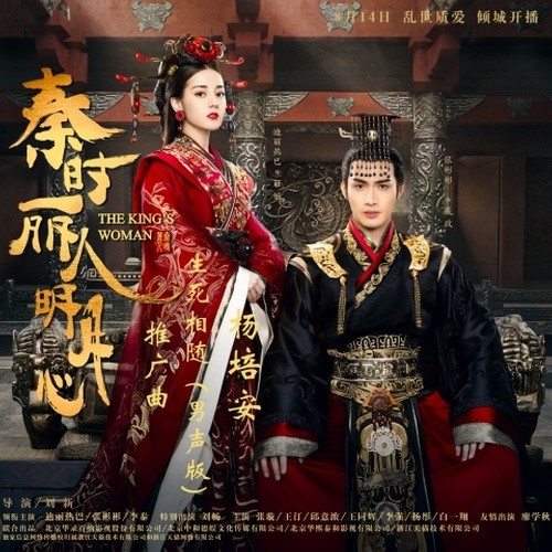 杨培安-《生死相随》
