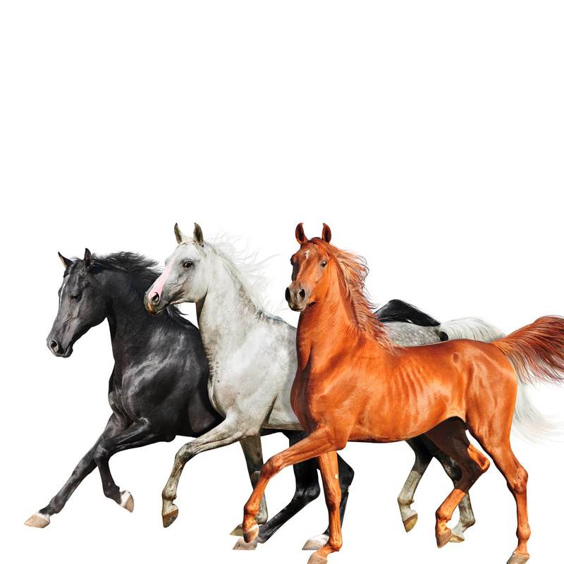 Lil Nas X-《Old Town Road (Diplo Remix)》