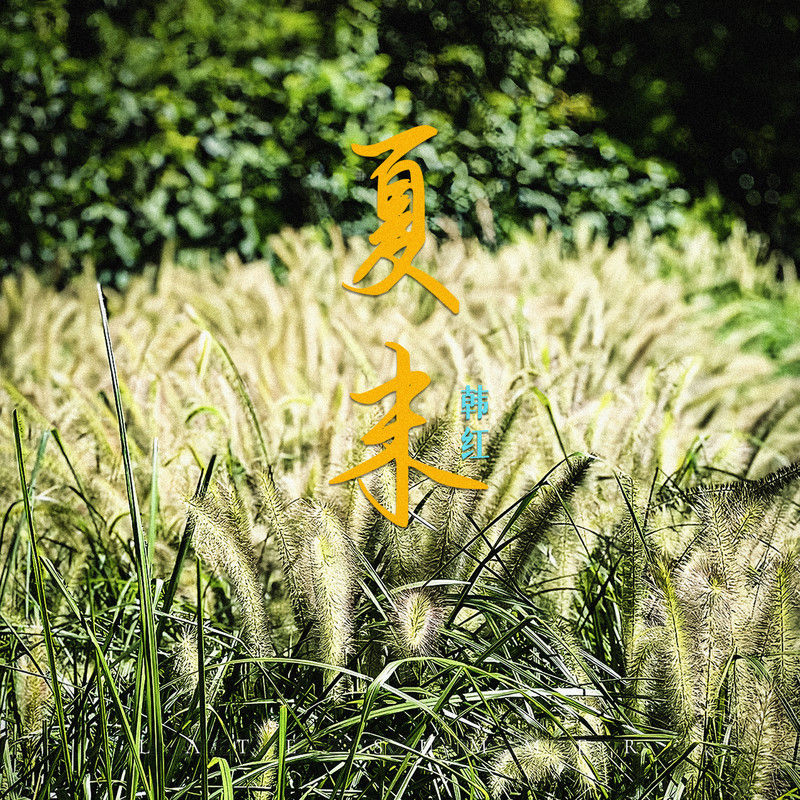 韩红-《夏末》