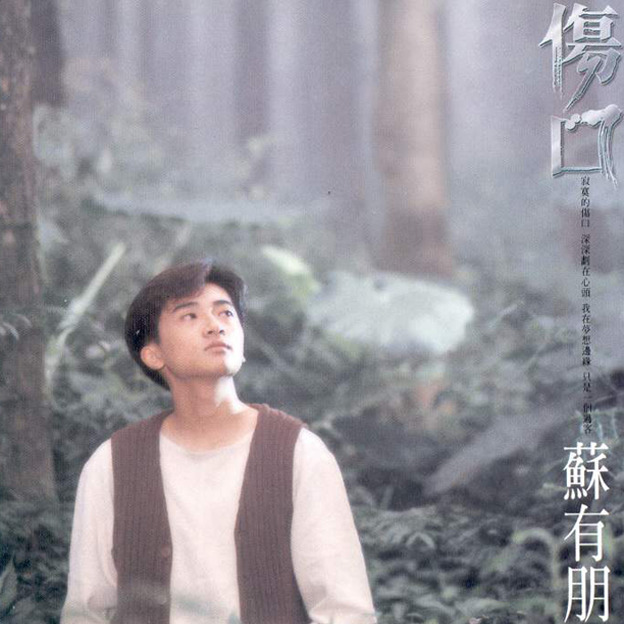 苏有朋-《伤口》