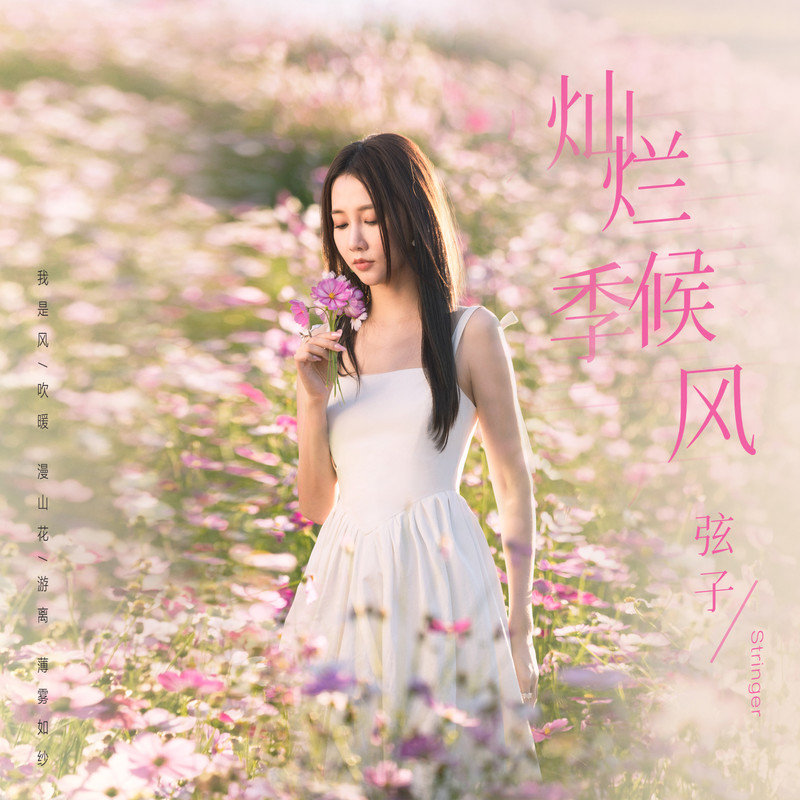 弦子-《灿烂季候风》