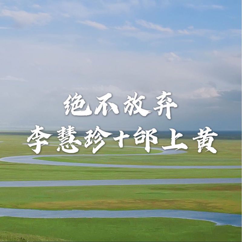 李慧珍-《决不放弃》