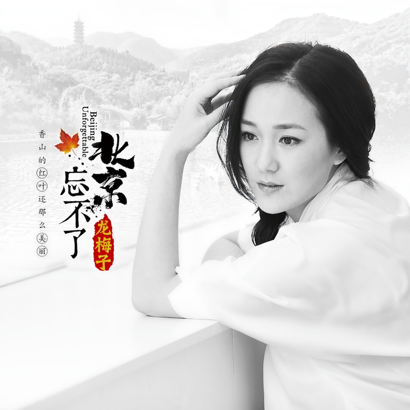 龙梅子-《北京·忘不了》