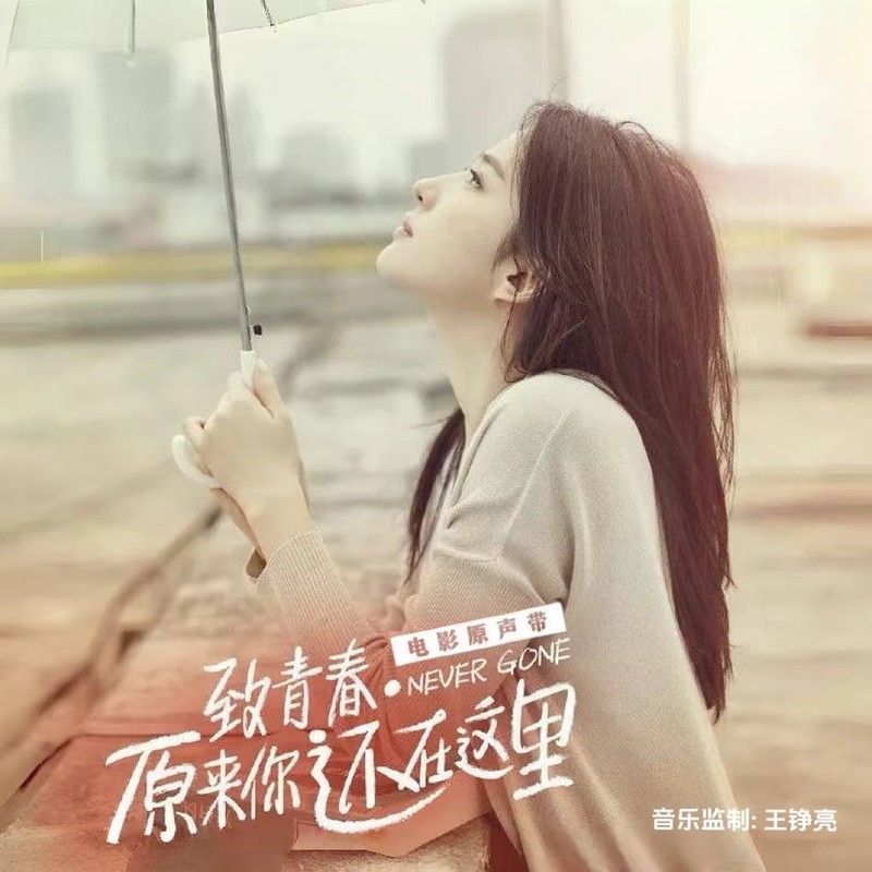 王铮亮-《致青春•原来你还在这里 电影原声带》