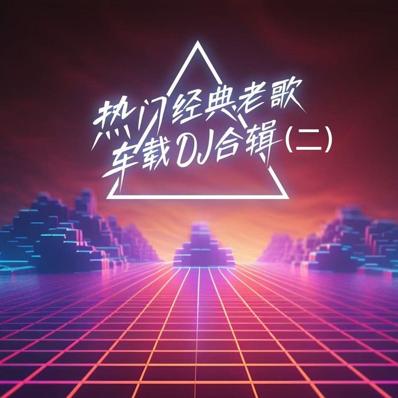 庄心妍-《热门经典老歌车载DJ合辑(二)》