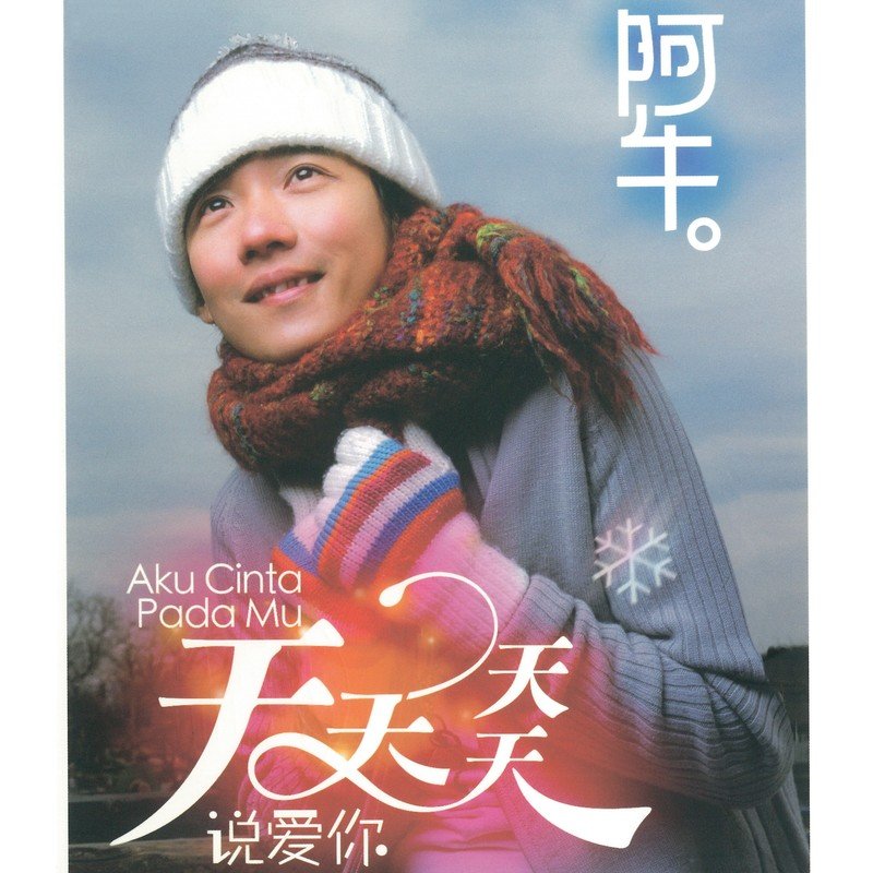 阿牛-《天天天天说爱你》