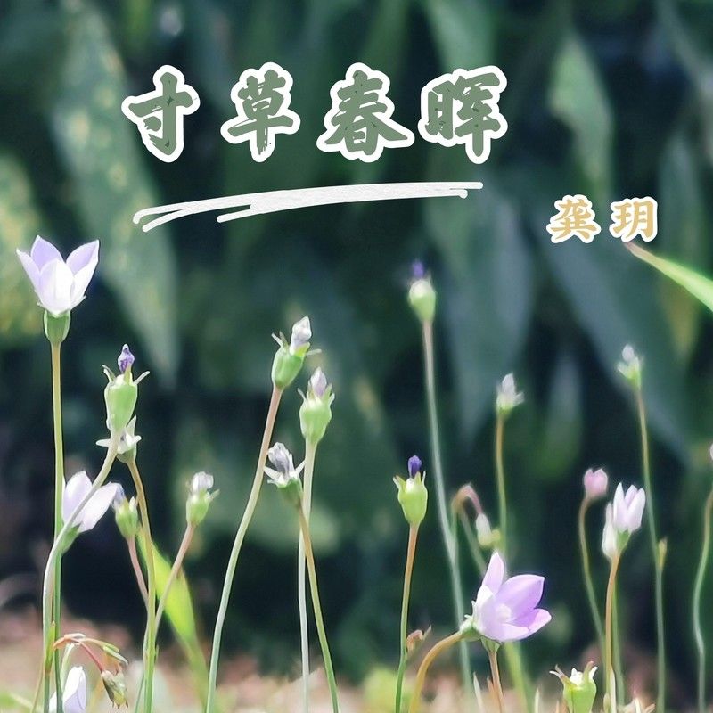龚玥-《寸草春晖》