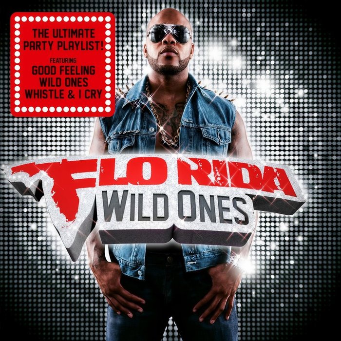 Flo Rida-《Wild Ones》
