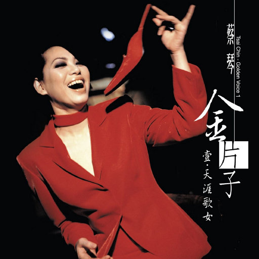 蔡琴《金片子1：天涯歌女》