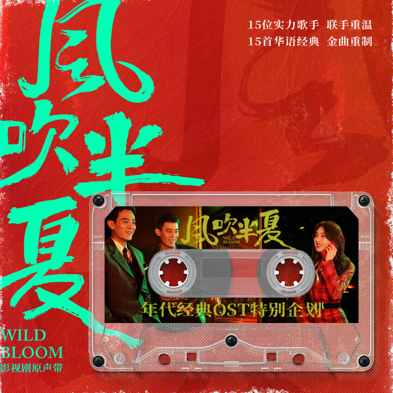 陈立农-《风吹半夏 年代经典OST原声带》