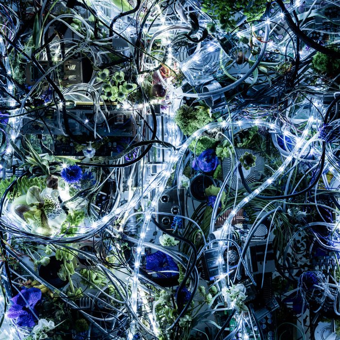 Aimer-《ナインリィイーピー》