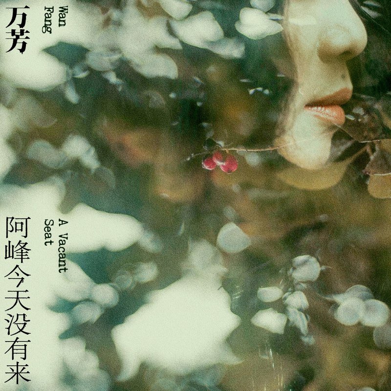 万芳-《阿峰今天没有来》