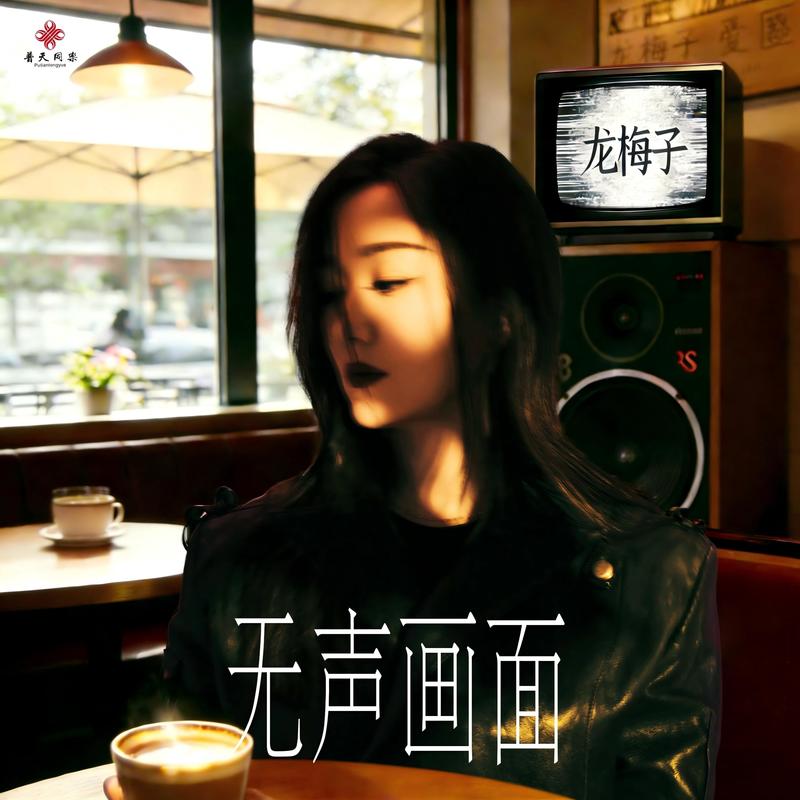 龙梅子-《无声画面》