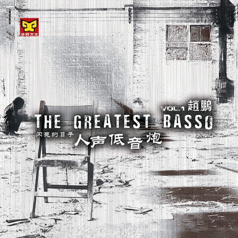 赵鹏-《闪亮的日子 (赵鹏人声低音炮1)》