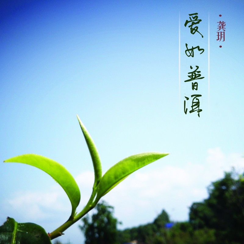 龚玥-《爱如普洱》