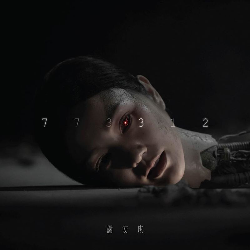 谢安琪-《773312》