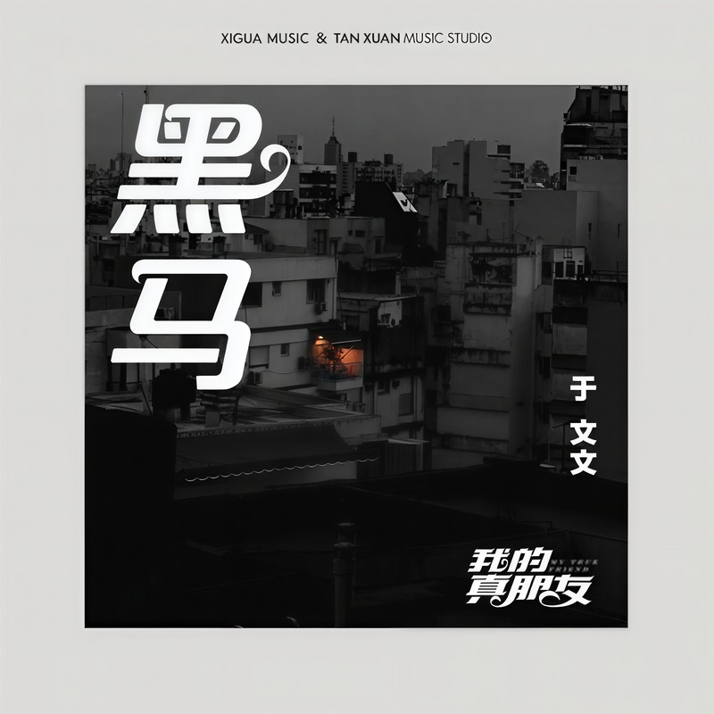 于文文-《黑马》