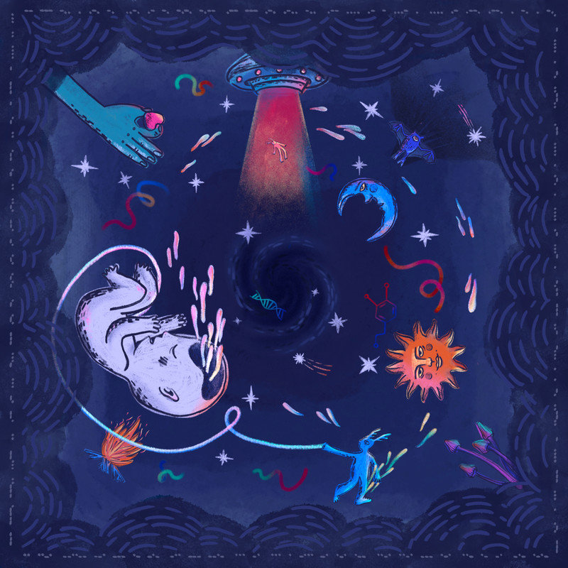 刺猬-《赤子白仙》