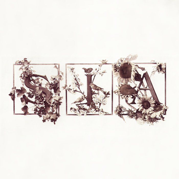 Sia-《Colour The Small One (Deluxe Edition)》