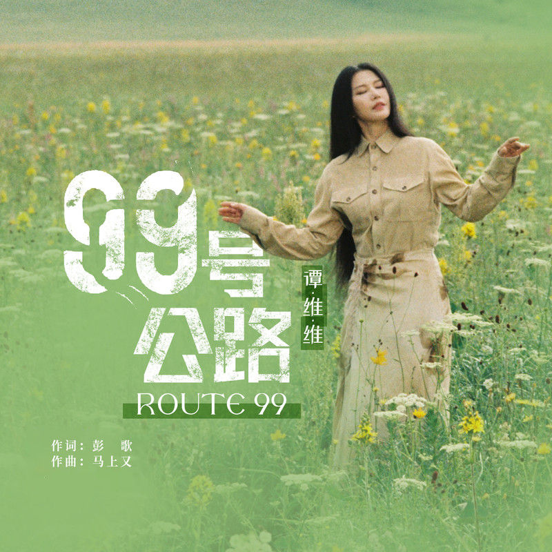 谭维维-《99号公路》