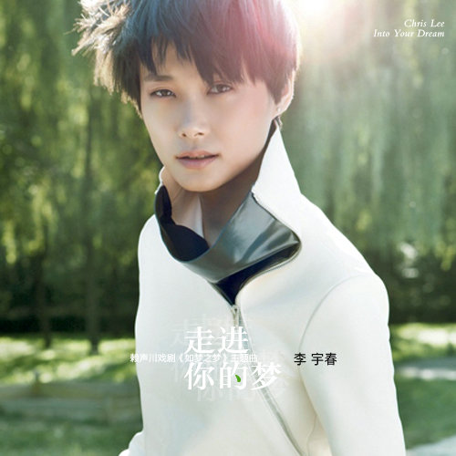 李宇春-《走进你的梦》