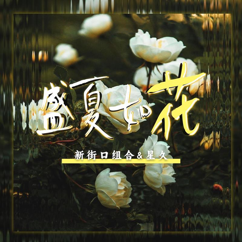 新街口组合-《盛夏如花》