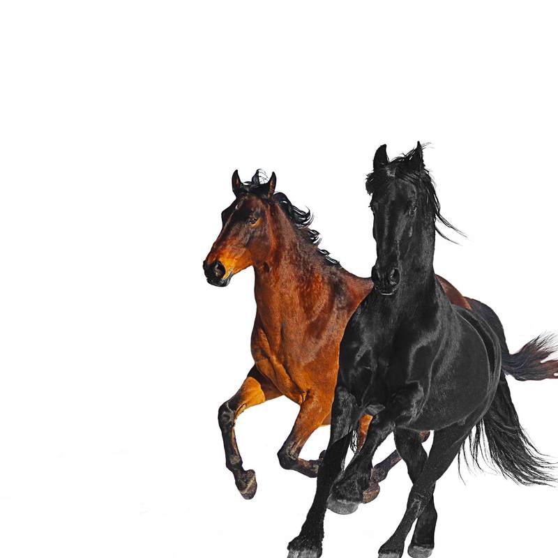 Lil Nas X-《Old Town Road (Remix)》