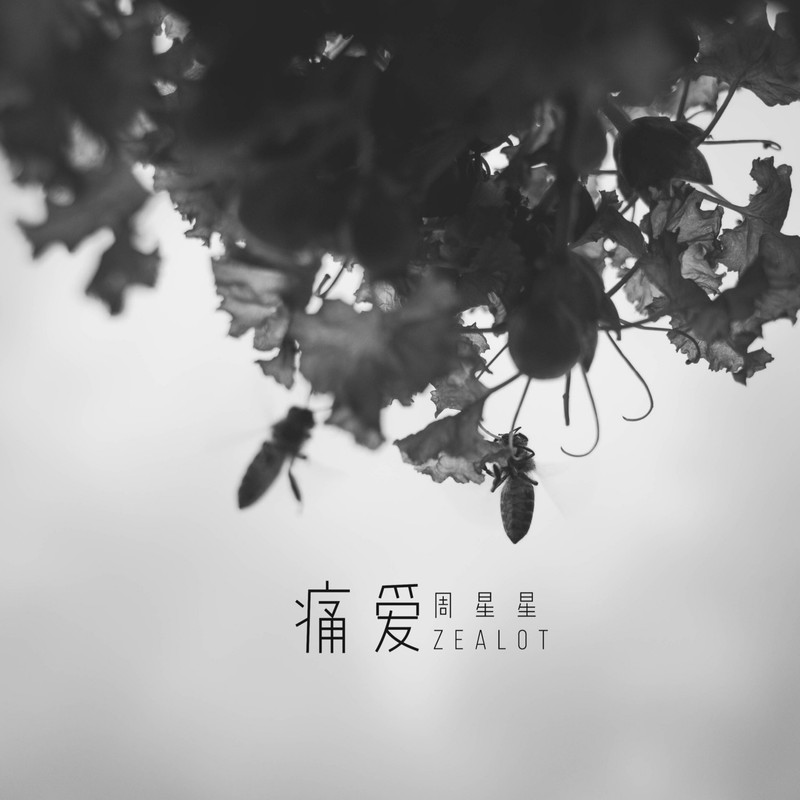 Zealot周星星-《痛爱》
