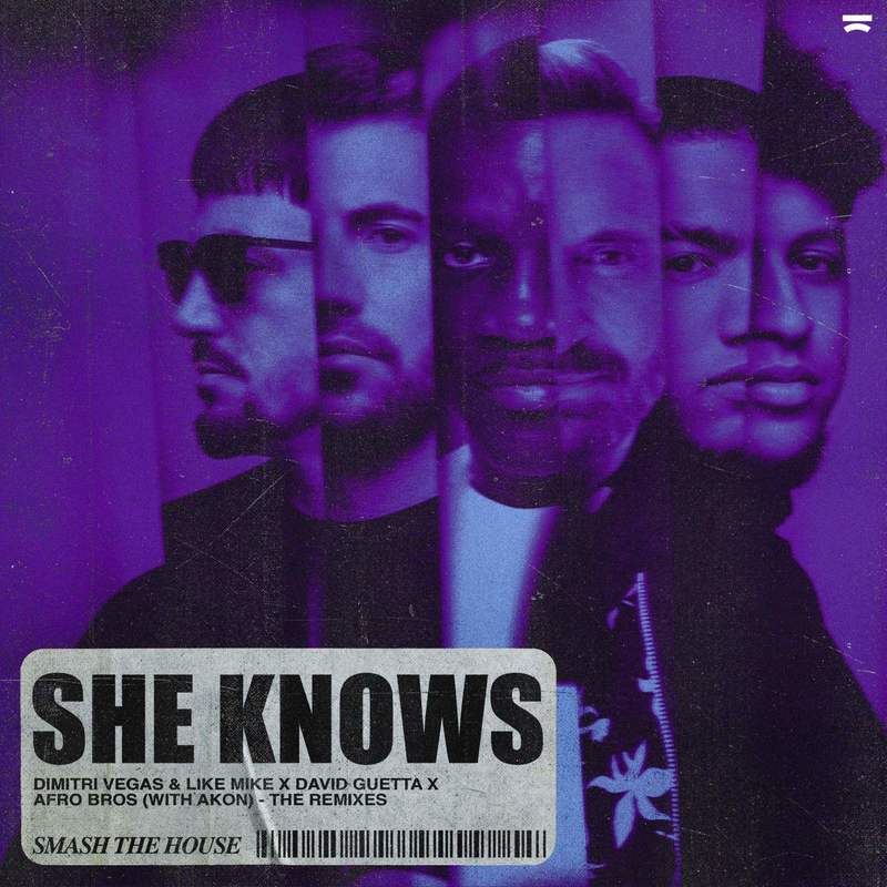 Akon-《She Knows (The Remixes)》