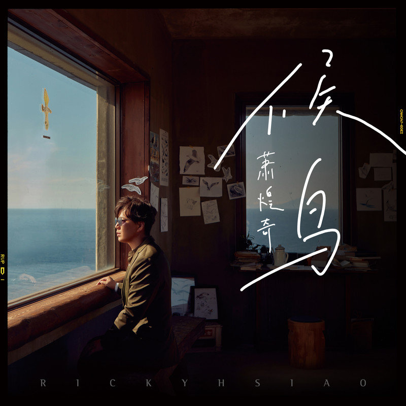 萧煌奇-《候鸟》
