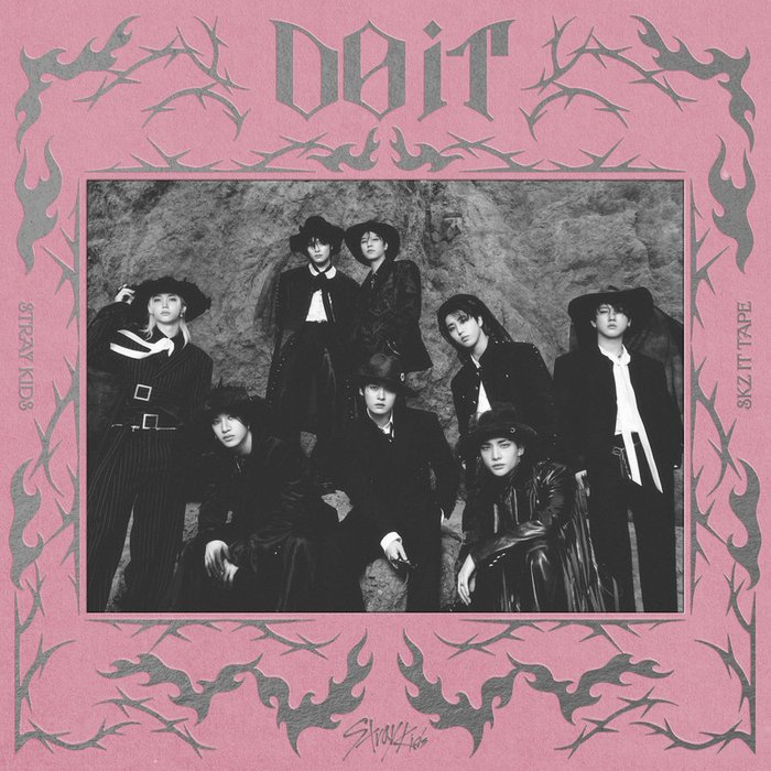 Stray Kids-《DO IT》