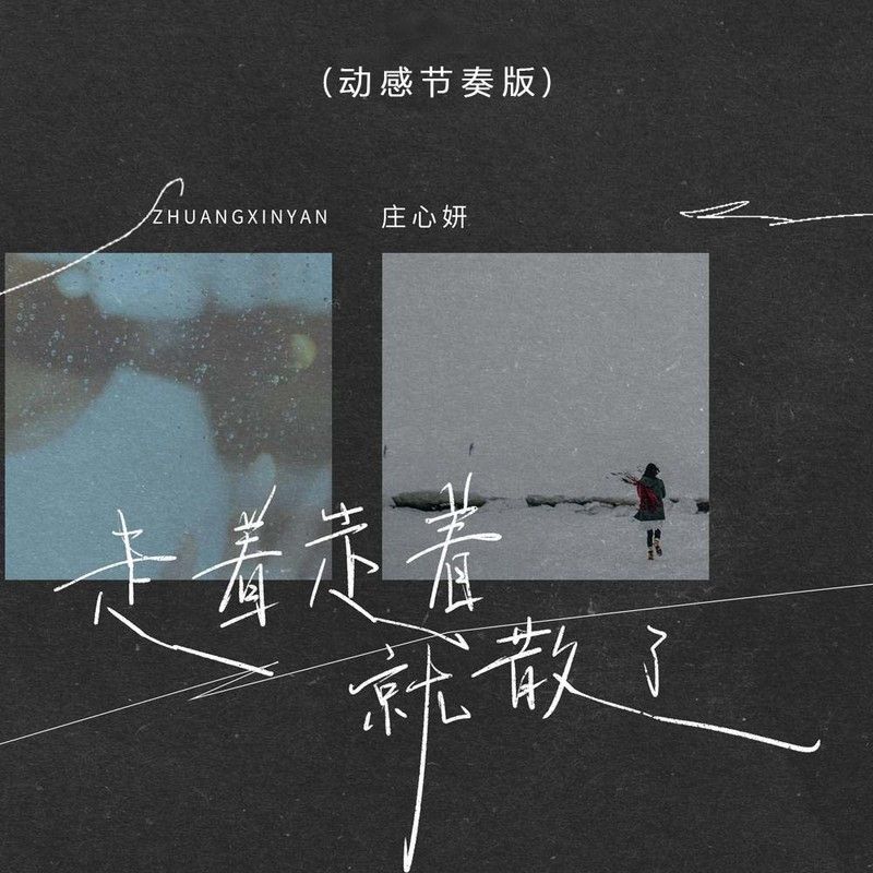 庄心妍-《走着走着就散了(动感节奏版)》