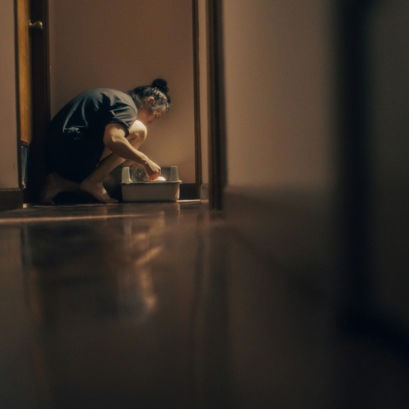 蓝奕邦-《努力地生活》