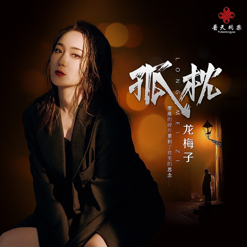 龙梅子-《孤枕》