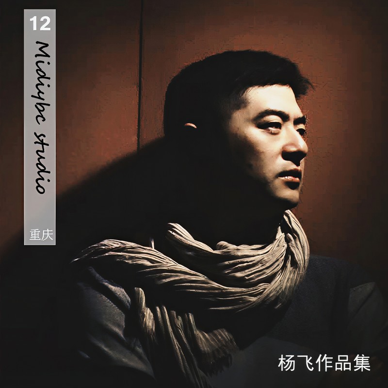 毛阿敏-《杨飞作品集》