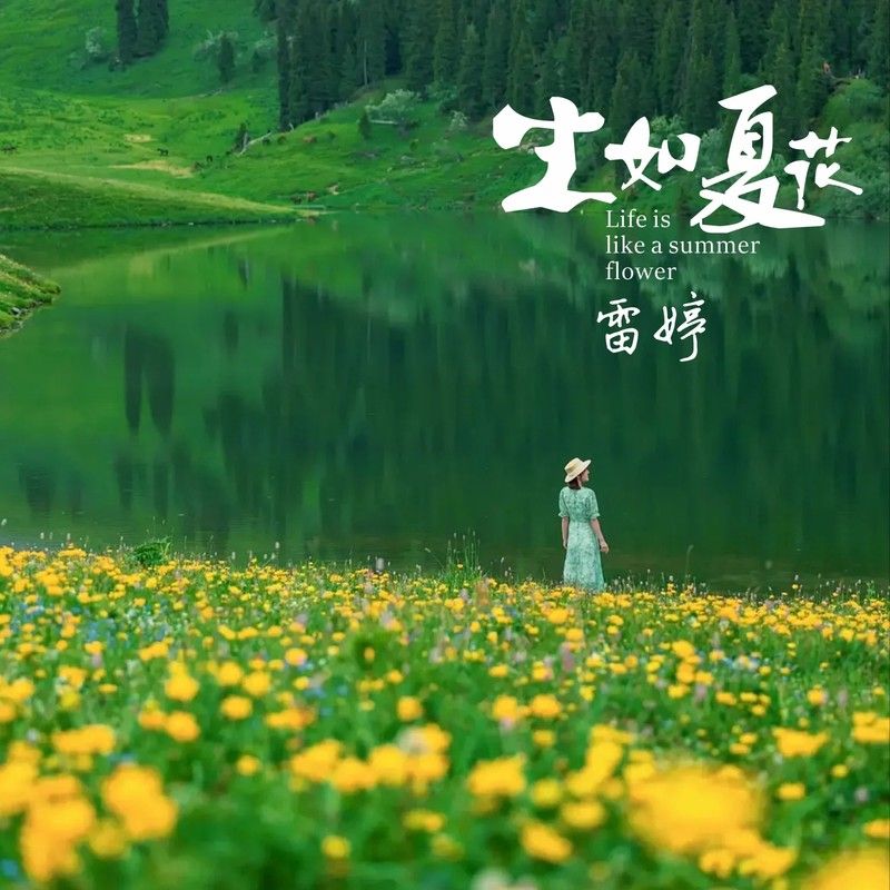 雷婷-《生如夏花》