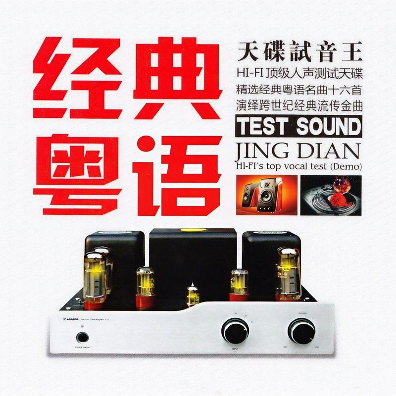 童丽-《经典粤语 DXD》