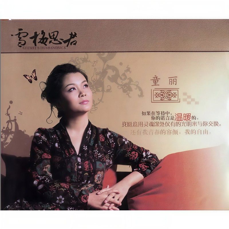 童丽-《雪梅思君》