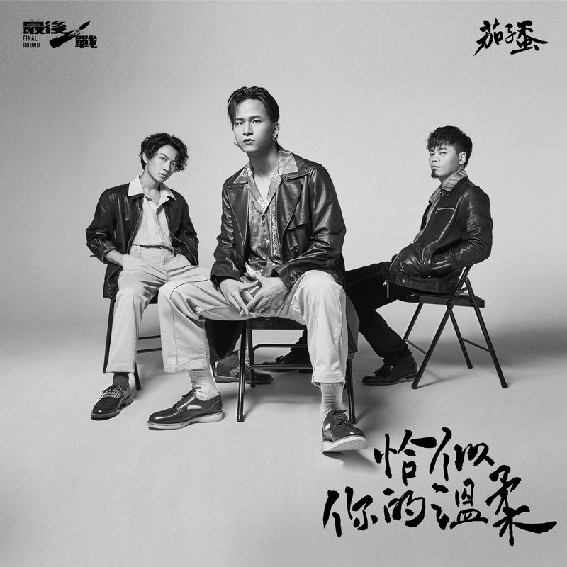 茄子蛋-《恰似你的温柔》