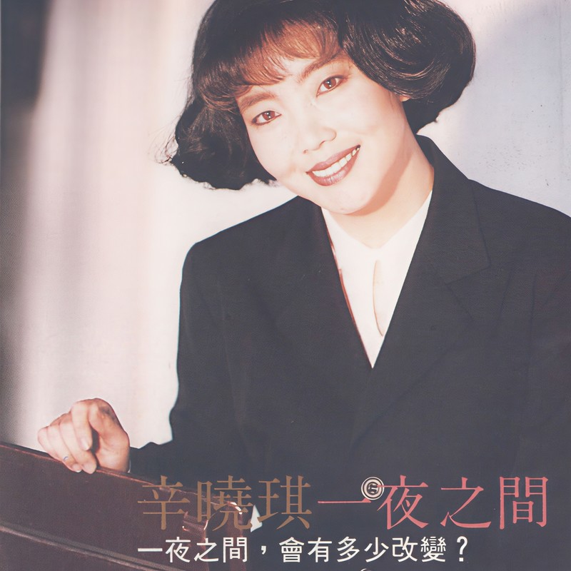 辛晓琪-《一夜之间》