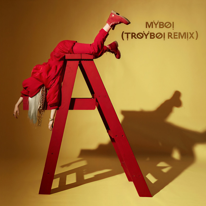 Billie Eilish-《MyBoi (TroyBoi Remix)》