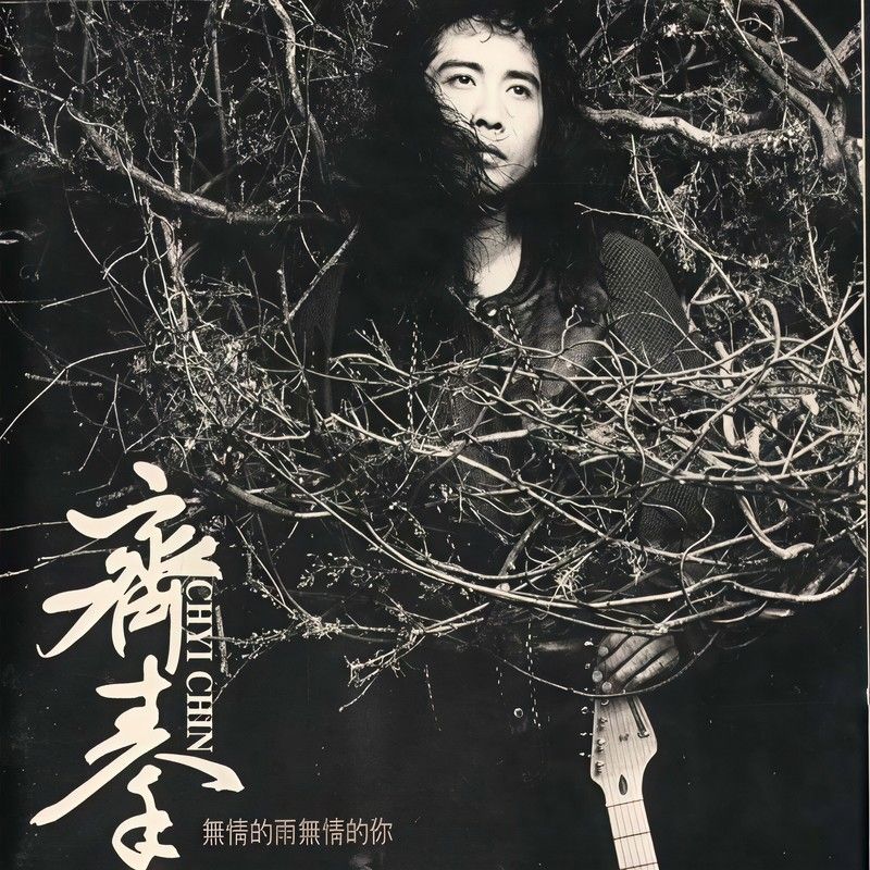 齐秦-《无情的雨无情的你》