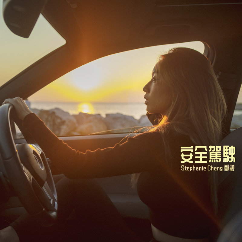 郑融-《安全驾驶》