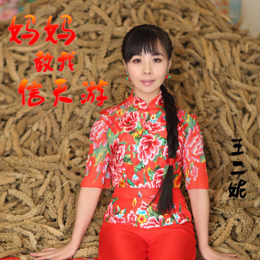 王二妮-《妈妈教我信天游》