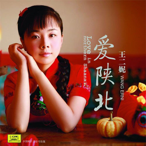 王二妮-《爱陕北》