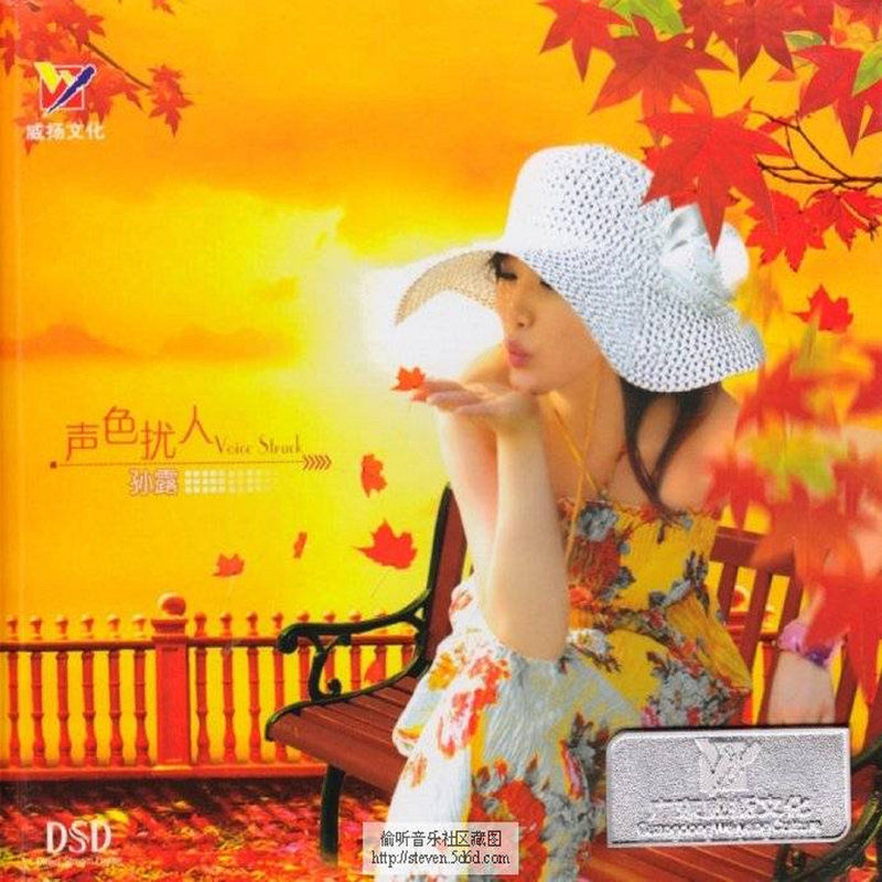 孙露-《声色扰人》