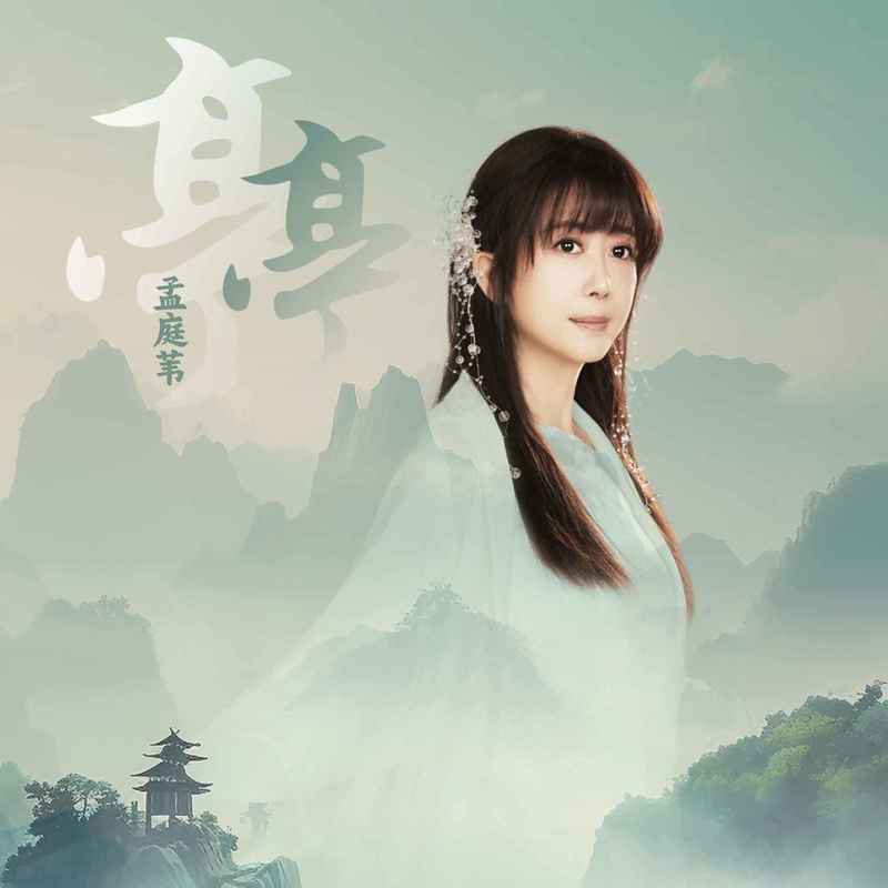 孟庭苇-《亭亭》