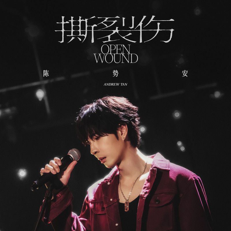 陈势安-《撕裂伤》