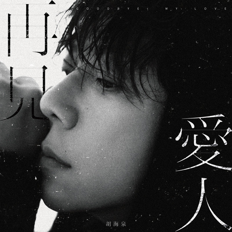 胡海泉-《再见爱人》